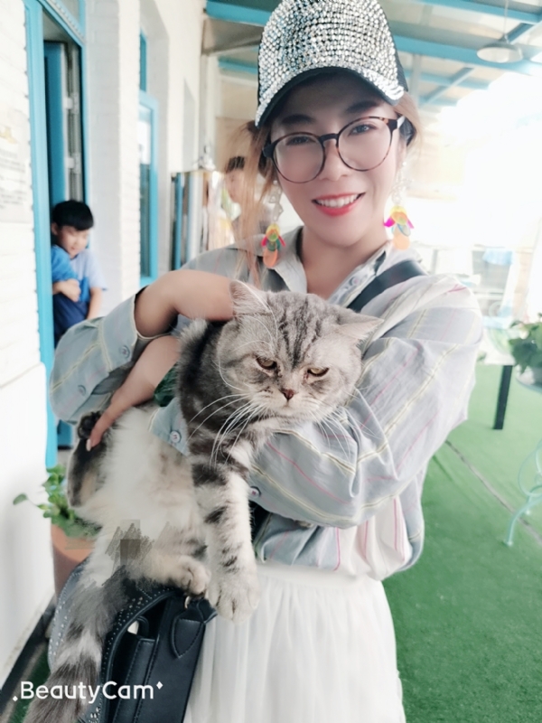 小黑猫的第一张照片--三明交友网