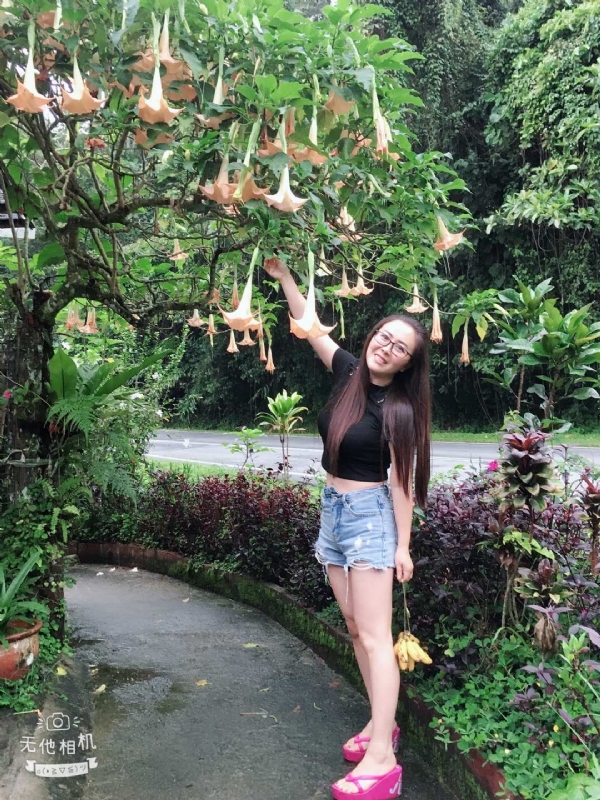 离异单身无子的第二张照片--三明交友网