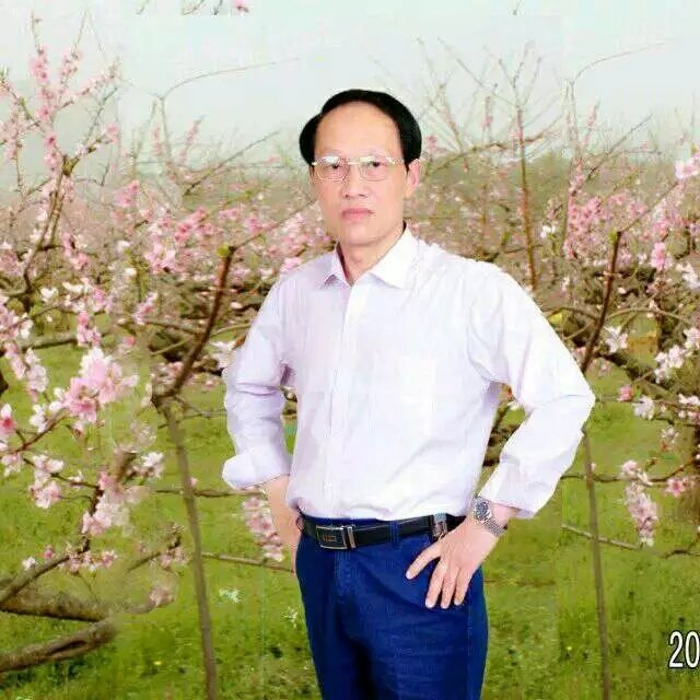 枫叶的第一张照片--三明交友网